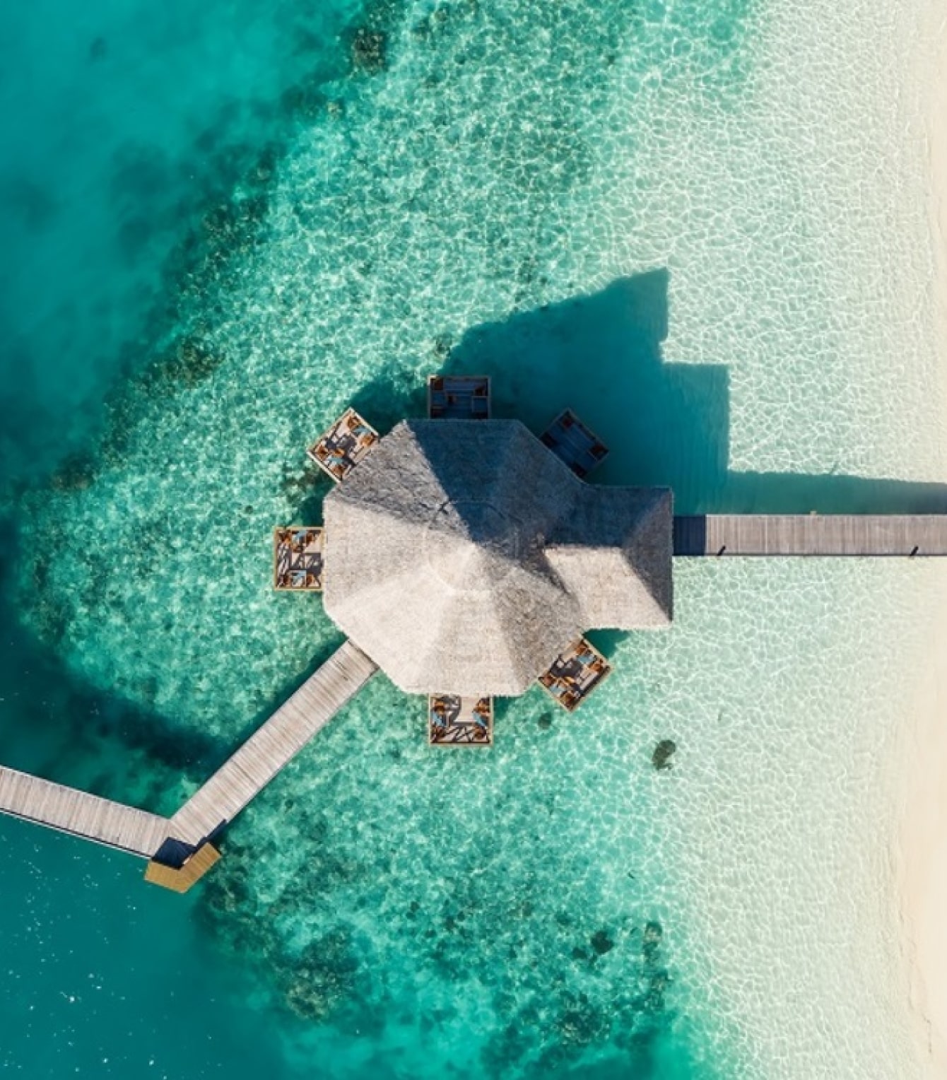 Overhead photo of a hut in a tropical location