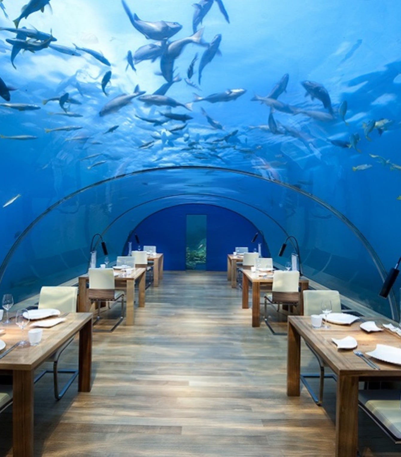 Underwater restaurant with sharks swimming overhead